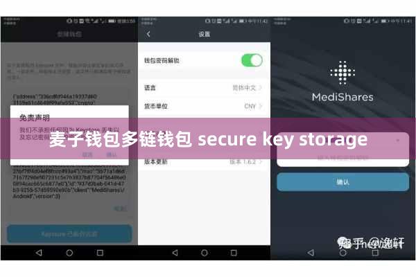 麦子钱包多链钱包 secure key storage