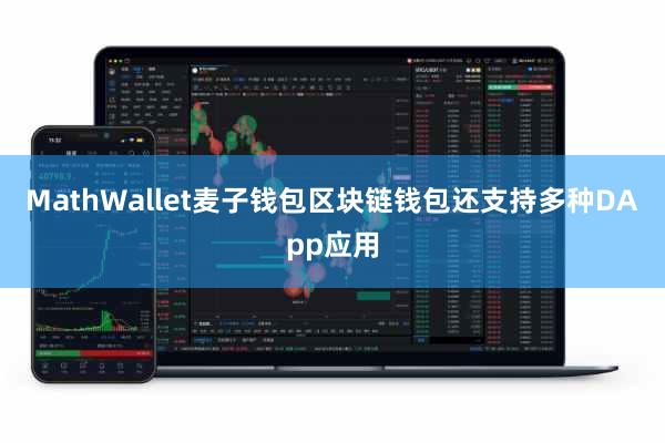 MathWallet麦子钱包区块链钱包还支持多种DApp应用