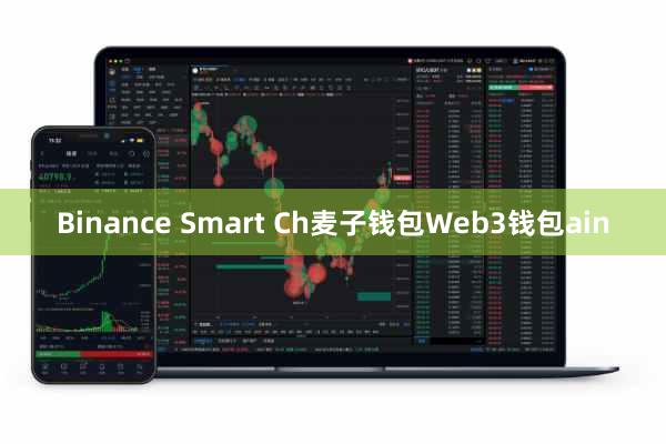 Binance Smart Ch麦子钱包Web3钱包ain