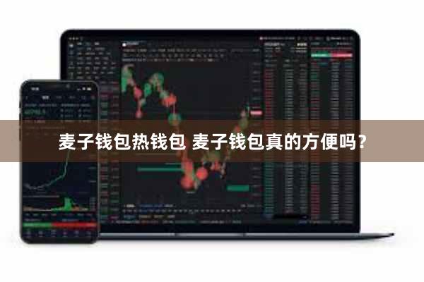麦子钱包热钱包 麦子钱包真的方便吗？