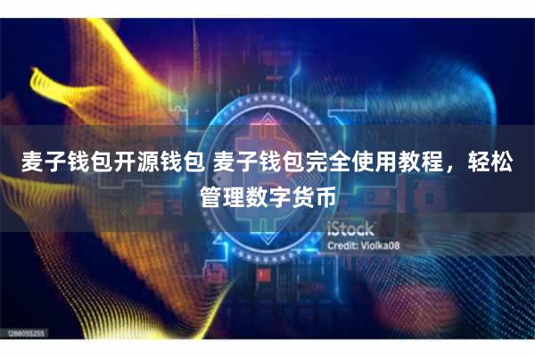 麦子钱包开源钱包 麦子钱包完全使用教程，轻松管理数字货币