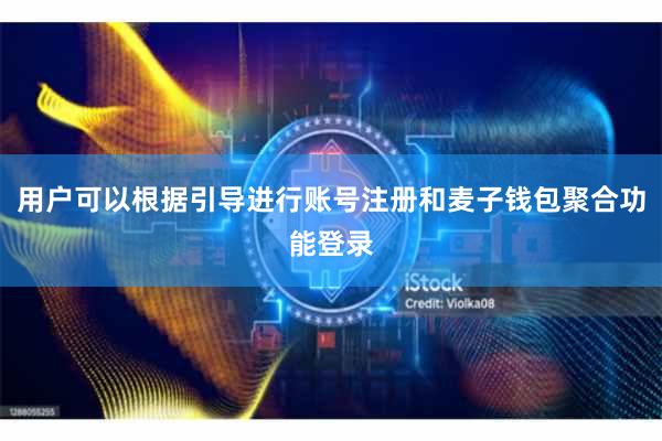 用户可以根据引导进行账号注册和麦子钱包聚合功能登录