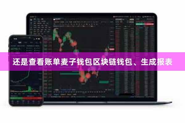 还是查看账单麦子钱包区块链钱包、生成报表