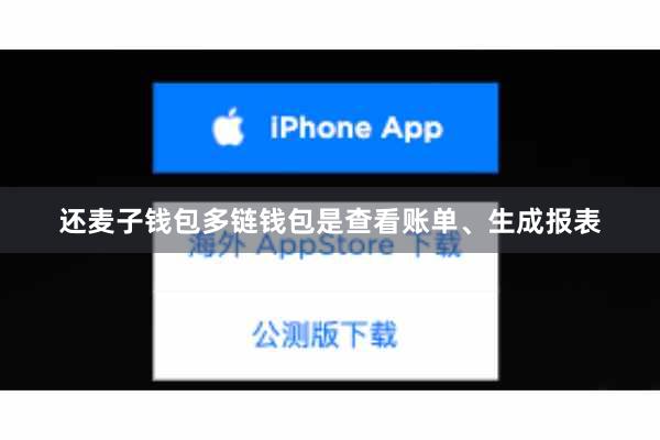 还麦子钱包多链钱包是查看账单、生成报表