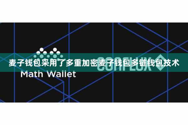 麦子钱包采用了多重加密麦子钱包多链钱包技术