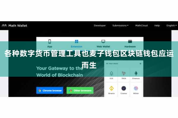 各种数字货币管理工具也麦子钱包区块链钱包应运而生