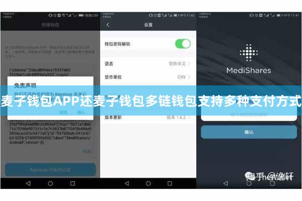麦子钱包APP还麦子钱包多链钱包支持多种支付方式