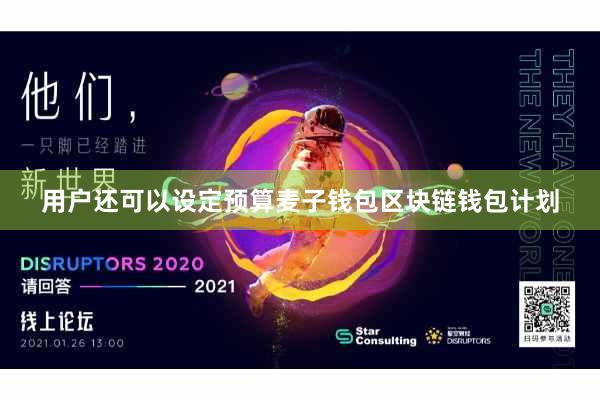用户还可以设定预算麦子钱包区块链钱包计划