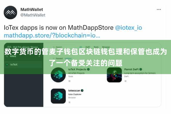 数字货币的管麦子钱包区块链钱包理和保管也成为了一个备受关注的问题