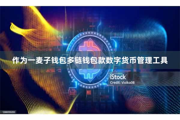 作为一麦子钱包多链钱包款数字货币管理工具