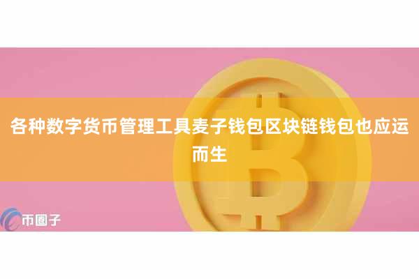 各种数字货币管理工具麦子钱包区块链钱包也应运而生