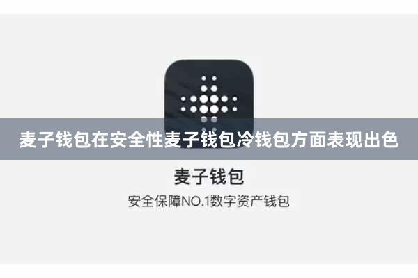 麦子钱包在安全性麦子钱包冷钱包方面表现出色