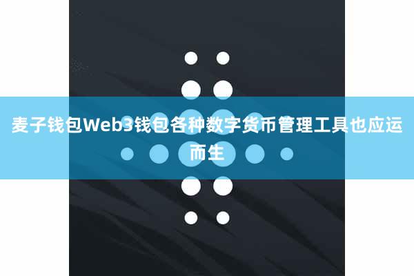 麦子钱包Web3钱包各种数字货币管理工具也应运而生
