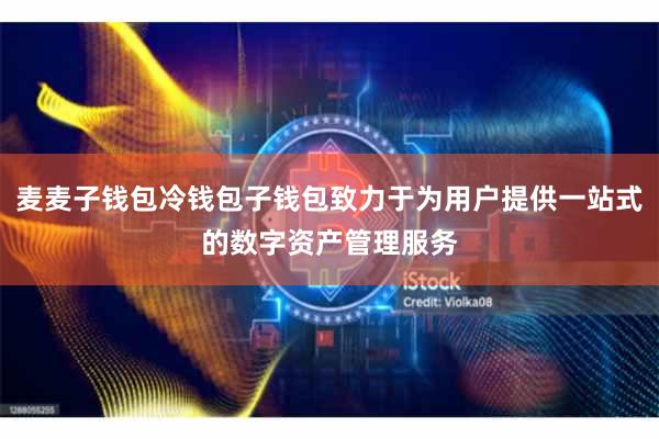 麦麦子钱包冷钱包子钱包致力于为用户提供一站式的数字资产管理服务