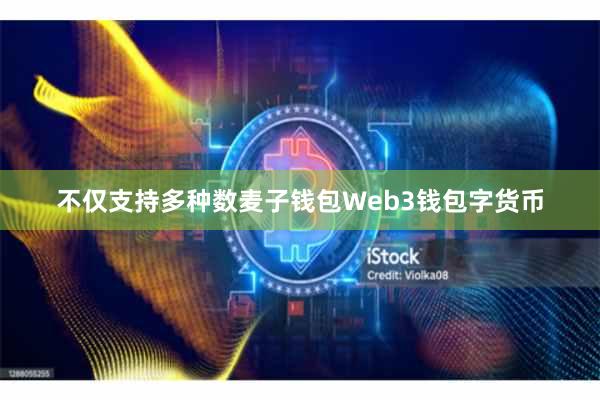 不仅支持多种数麦子钱包Web3钱包字货币