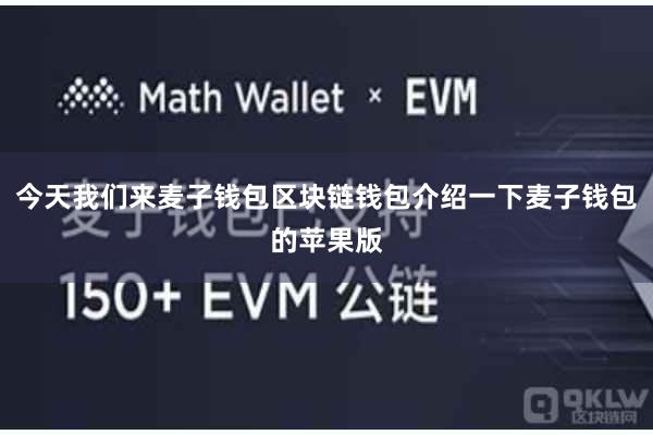 今天我们来麦子钱包区块链钱包介绍一下麦子钱包的苹果版