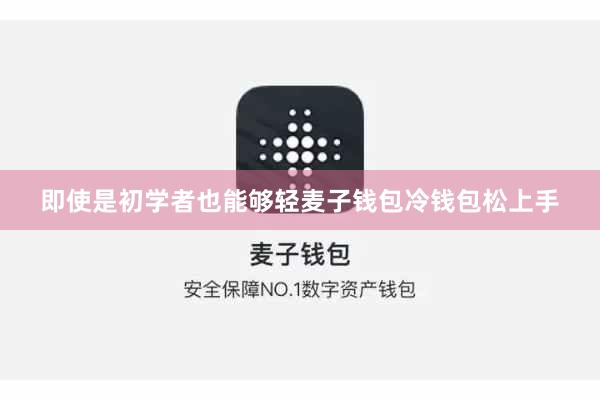 即使是初学者也能够轻麦子钱包冷钱包松上手