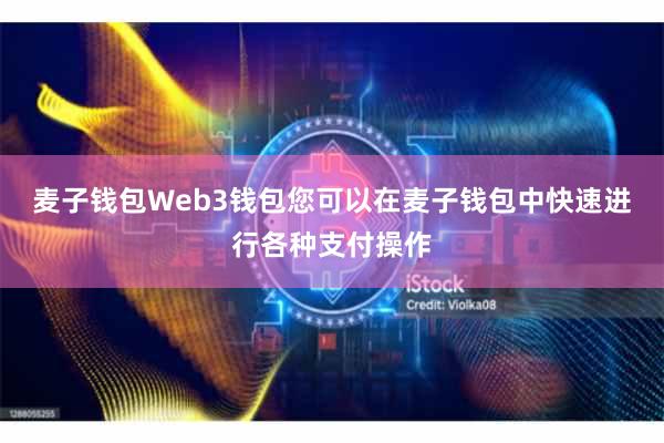 麦子钱包Web3钱包您可以在麦子钱包中快速进行各种支付操作
