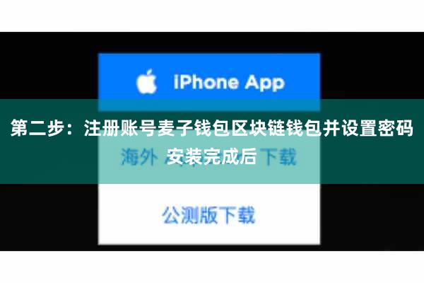 第二步：注册账号麦子钱包区块链钱包并设置密码安装完成后