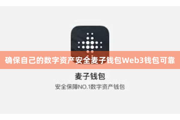 确保自己的数字资产安全麦子钱包Web3钱包可靠