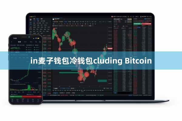 in麦子钱包冷钱包cluding Bitcoin
