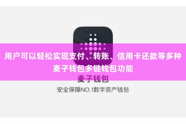 用户可以轻松实现支付、转账、信用卡还款等多种麦子钱包多链钱包功能